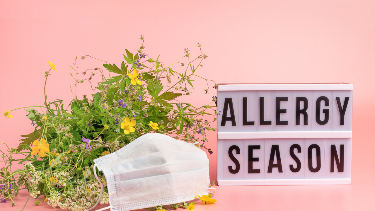 Allergy Relief Bundle - Natural Longevity During Allergy Season