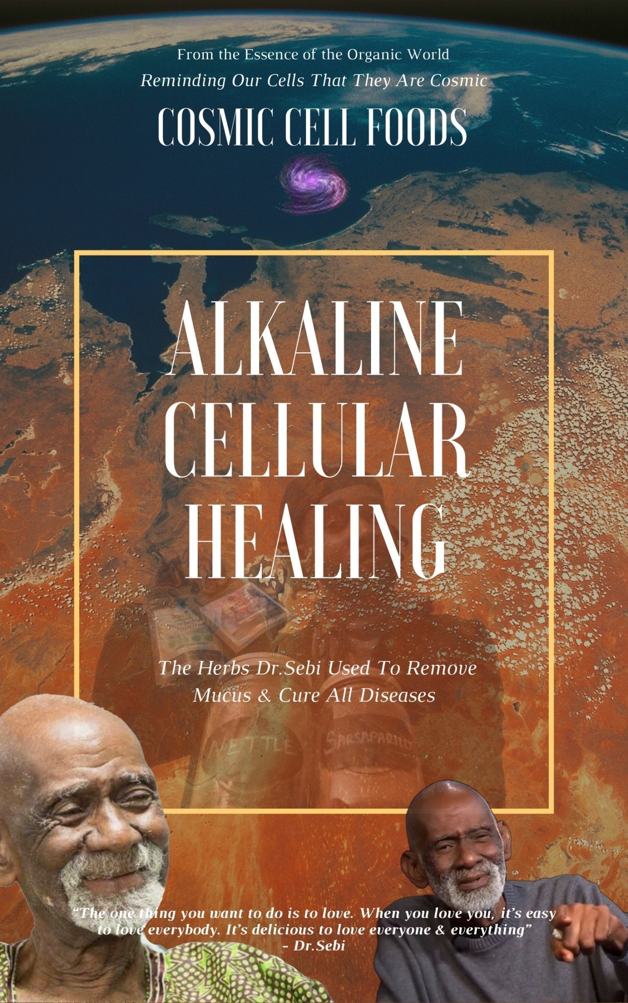 Alkaline Cellular Healing Ebook (Foundational Alkaline Herbs Dr.Sebi Used To Cure All Disease) - The Cosmic Chef