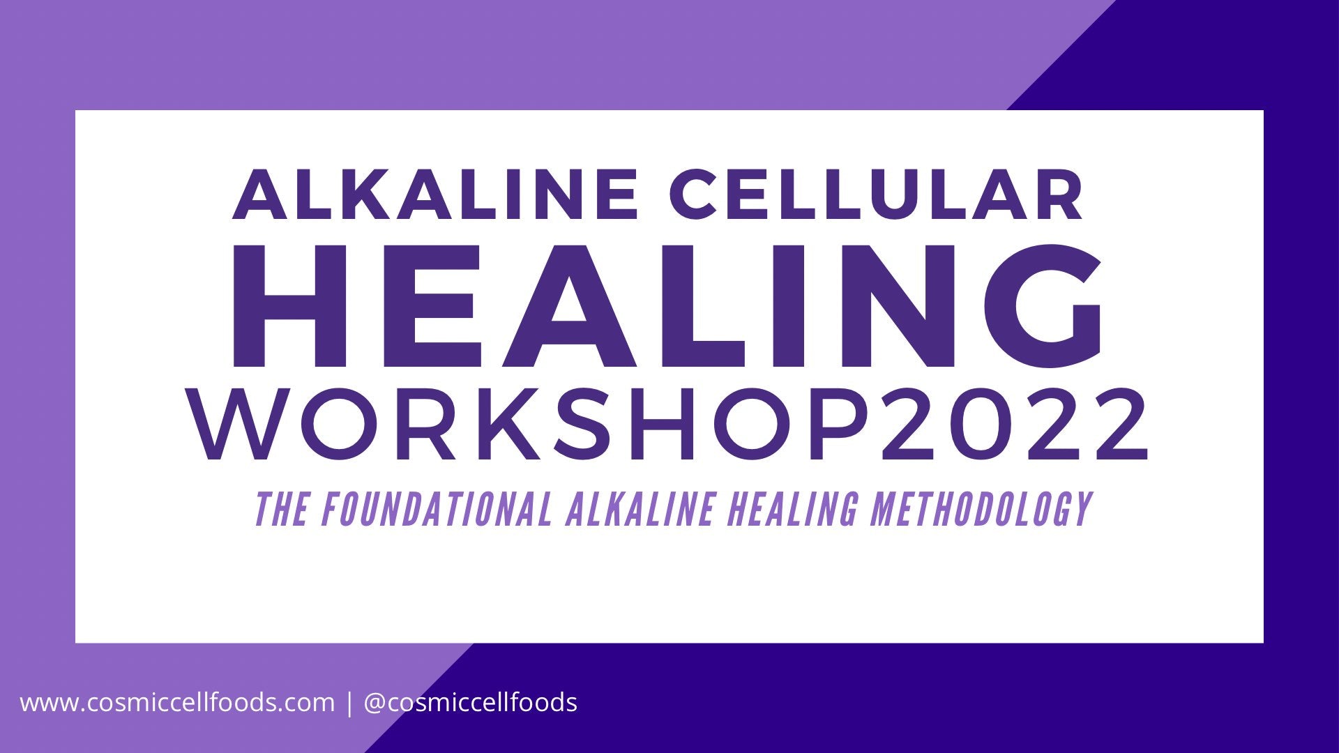 Alkaline Cellular Healing Workshop - Start a Health/Beauty Business using the Alkaline Methodology - The Cosmic Chef