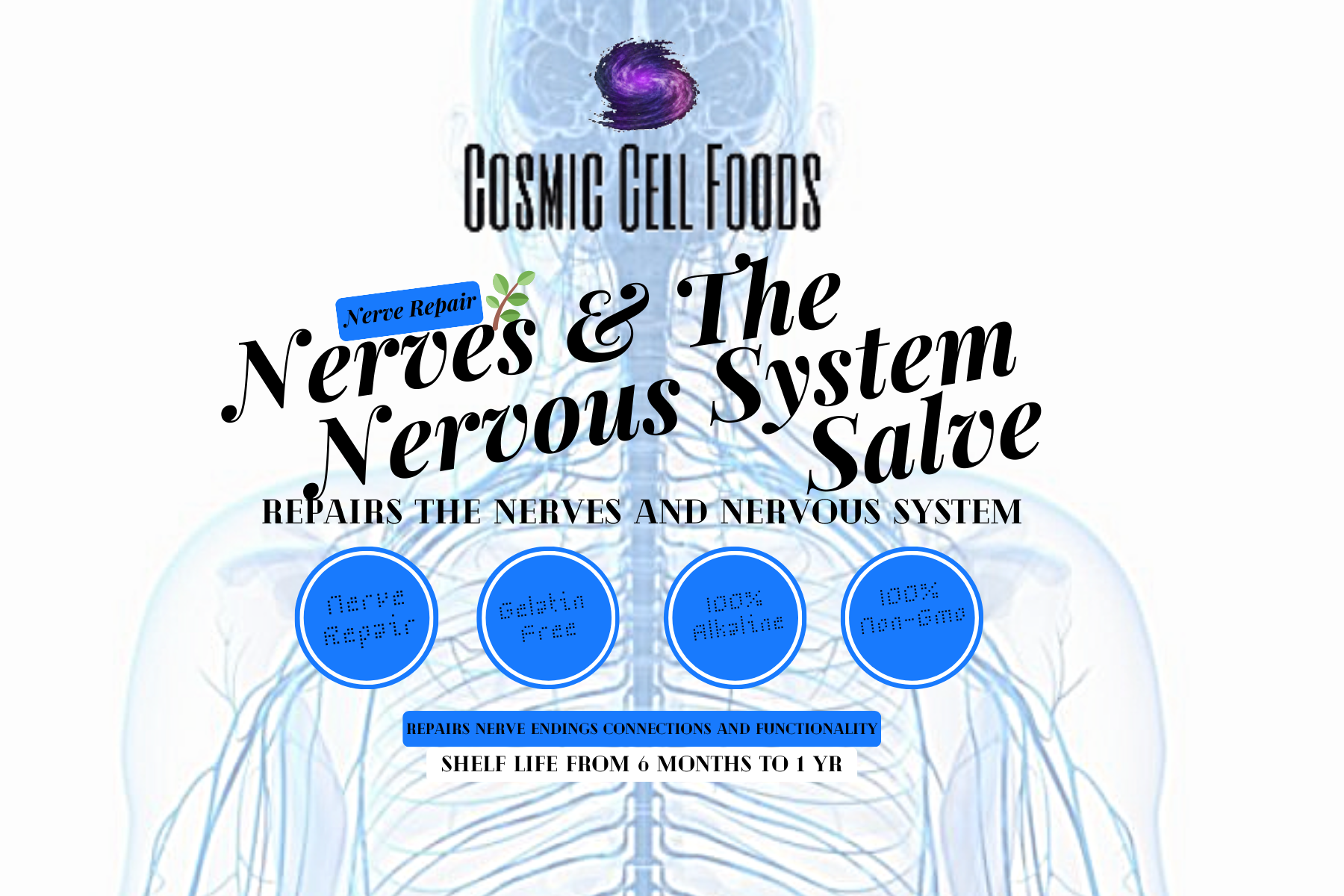 Nerves & The Nervous System Salve