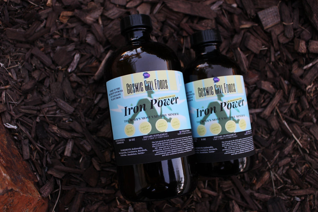 Pre-Spring Immunity Prep Bundle - Effortless Natural Longevity - The Cosmic Chef