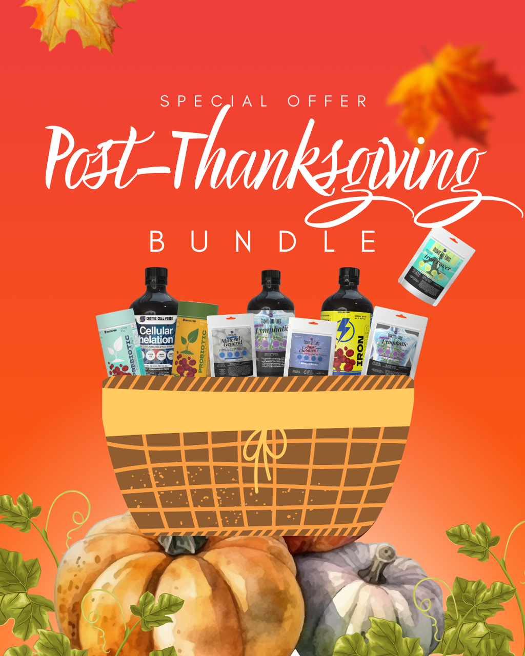 "The Post Thanksgiving Bundle" - Natural Longevity For The Winter