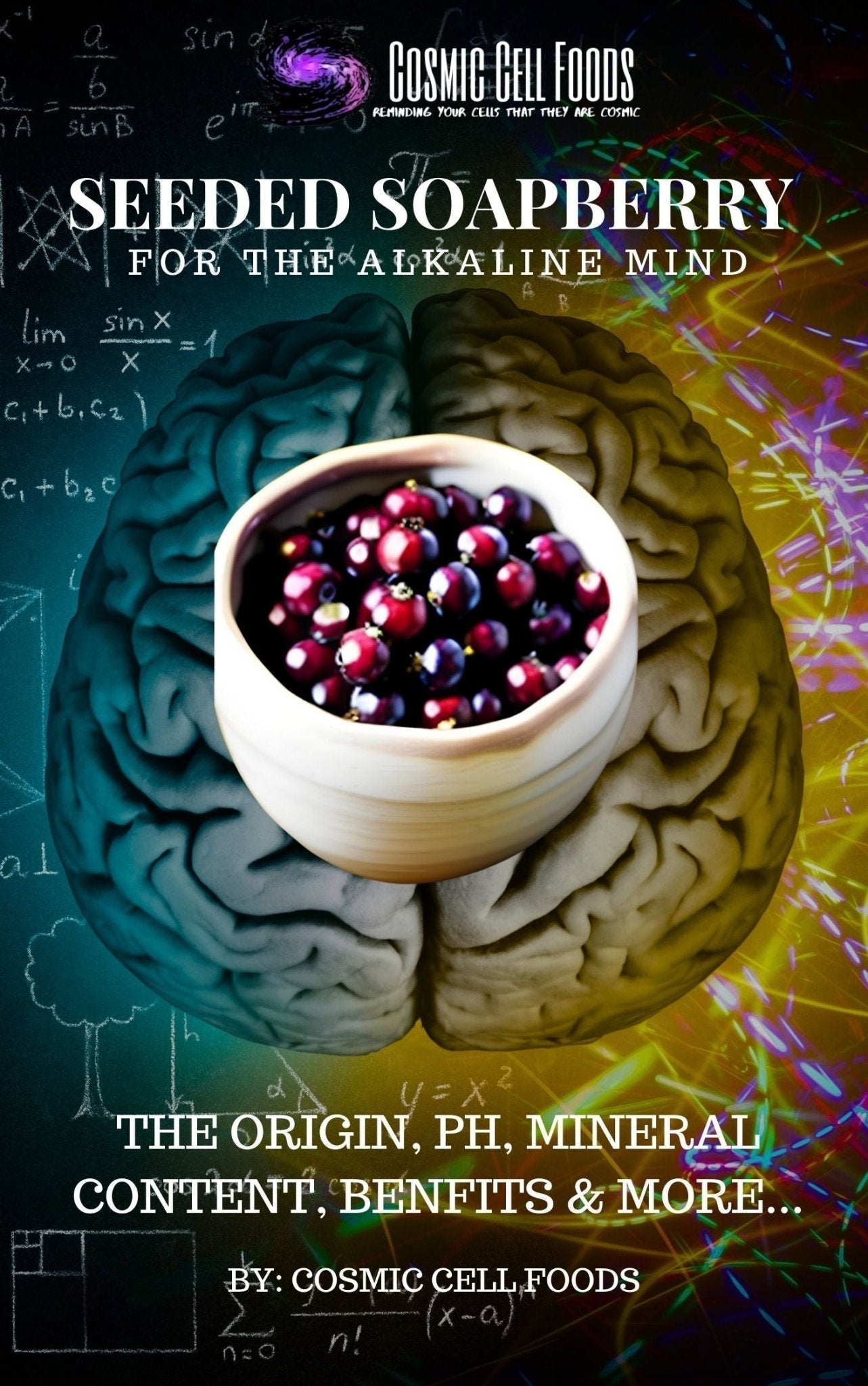 Seeded Soapberry for the Alkaline Mind - The Cosmic Chef